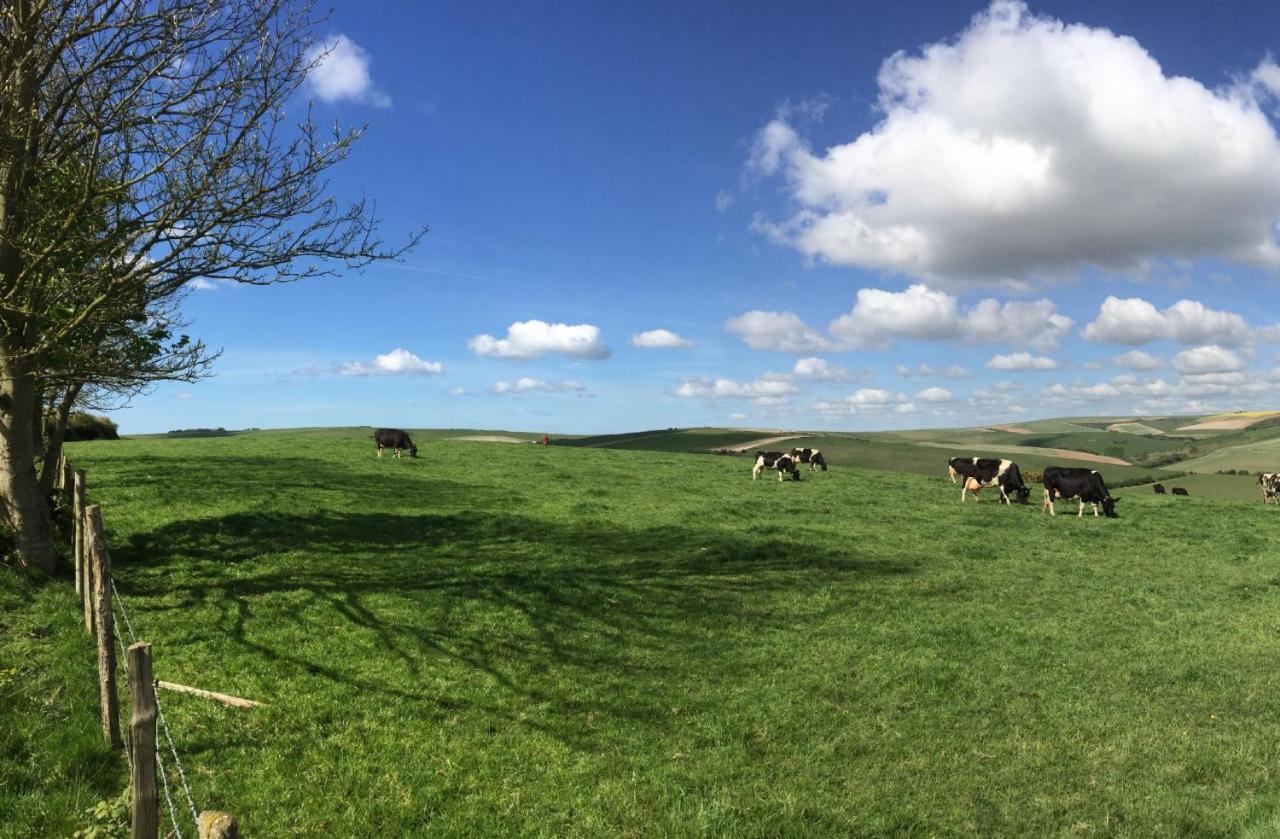 Shannon Cottage Telscombe Bagian luar foto